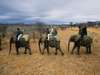 Cybele Forest Lodge - Activities